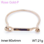 Wholesale Stainless 316 Steel Bangles