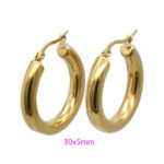 Wholesale Stainless 316 Steel Earrings, Fashion Jeweller