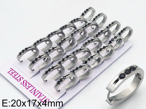 Wholesale Stainless 316 Steel Earrings, Fashion Jewellery