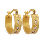 Wholesale Stainless 316 Steel Earring, Trendy Hot Jewellery