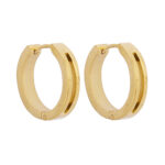 Wholesale Stainless 316 Steel Earring, Trendy Hot Jewellery