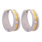 Wholesale Stainless 316 Steel Earring, Trendy Hot Jewellery