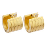 Wholesale Stainless 316 Steel Earring, Trendy Hot Jewellery