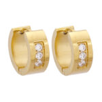 Wholesale Stainless 316 Steel Earring, Trendy Hot Jewellery