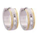 Wholesale Stainless 316 Steel Earring, Trendy Hot Jewellery