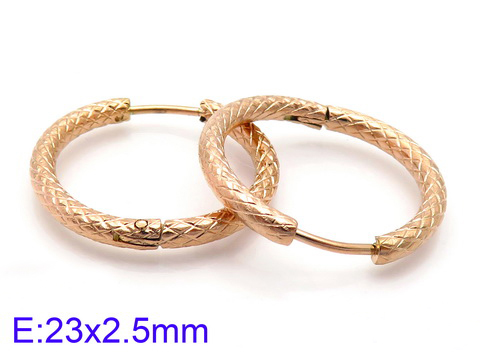 Wholesale Stainless 316 Steel Earrings, Fashion Jeweller