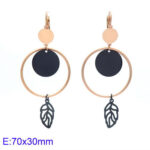 Wholesale Stainless 316 Steel Earrings, Fashion Jeweller